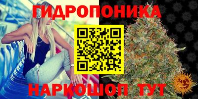 хмурый Абинск