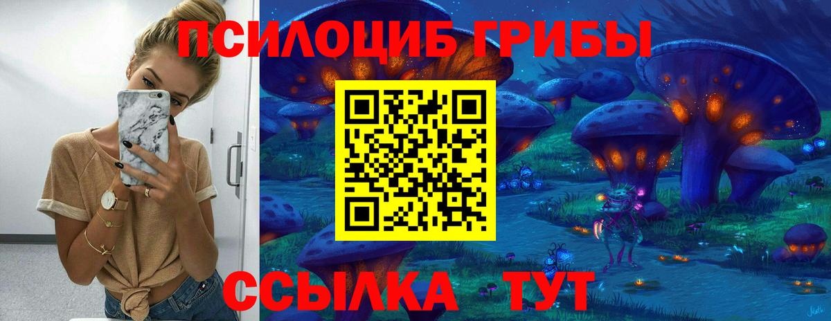 Апатиты  хочу наркоту  Вход с VPN  Галлюциногенные грибы Psilocybine cubensis 