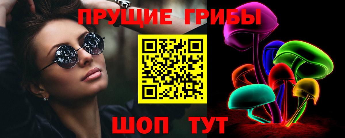 Псилоцибиновые грибы Psilocybe Апатиты